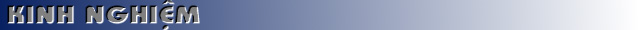 experienceb.jpg (7188 bytes)